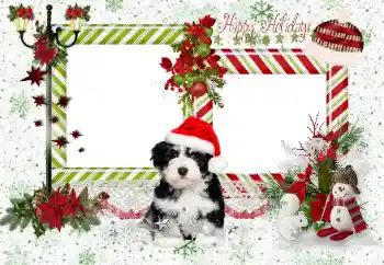 Fotoefekt nga kategoria Festa të ndryshme № 163336. Mbishkrimi në kornizë: Happy Holidays
