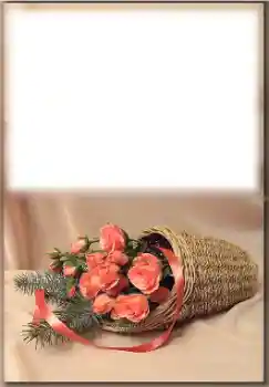 Fotoefekt nga kategoria Festa të ndryshme № 171774