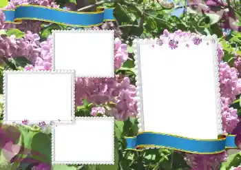Fotoefekt nga kategoria Të ndryshme shkollore № 205360 Fotoefekt nga kategoria Të ndryshme shkollore № 205360