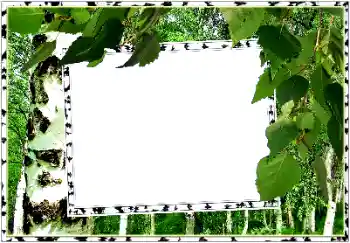 Fotoefekt nga kategoria Vera № 154334