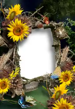 Fotoefekt nga kategoria Vera № 167902